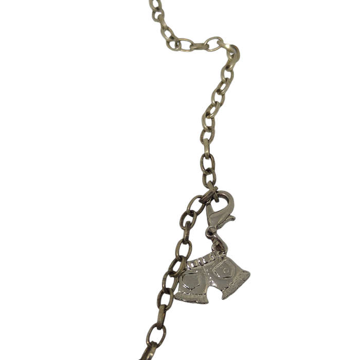 Interesting necklace with pendant charms