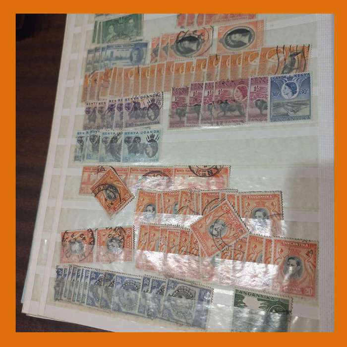 Southern & East Africa Stock Book  30 Double-Sided Pages, 1970s 1980s Focus