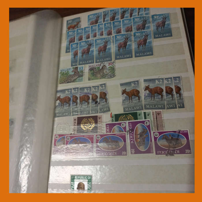 Southern & East Africa Stock Book  30 Double-Sided Pages, 1970s 1980s Focus