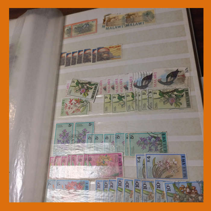 Southern & East Africa Stock Book  30 Double-Sided Pages, 1970s 1980s Focus