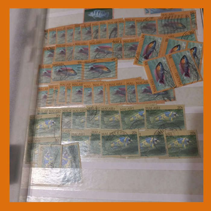 Southern & East Africa Stock Book  30 Double-Sided Pages, 1970s 1980s Focus