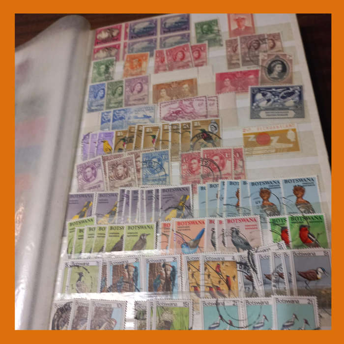 Southern & East Africa Stock Book  30 Double-Sided Pages, 1970s 1980s Focus
