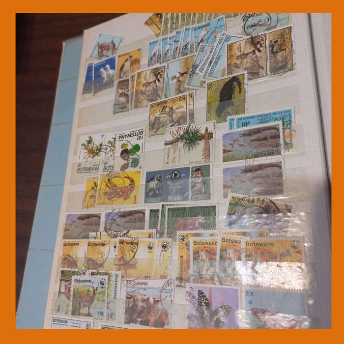 Southern & East Africa Stock Book  30 Double-Sided Pages, 1970s 1980s Focus