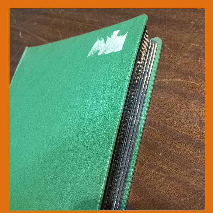 World Stamp Collection in Stockbook  Mint & Used Notably Europe and Americas