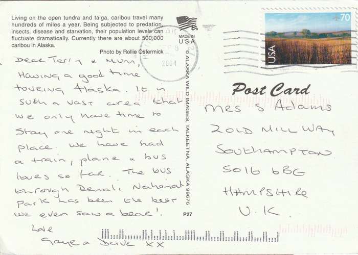 United States Alaska 2004 Caribou Deer Antlers Postcard