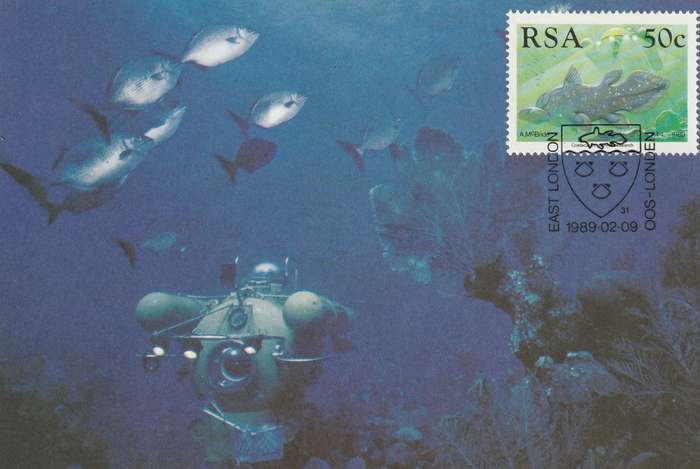 South Africa East London 1989 Maximum Card Coelacanth Marine Research Fish