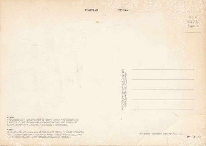 Namibia Namib Desert Weaver Birds Nests Large Post Card