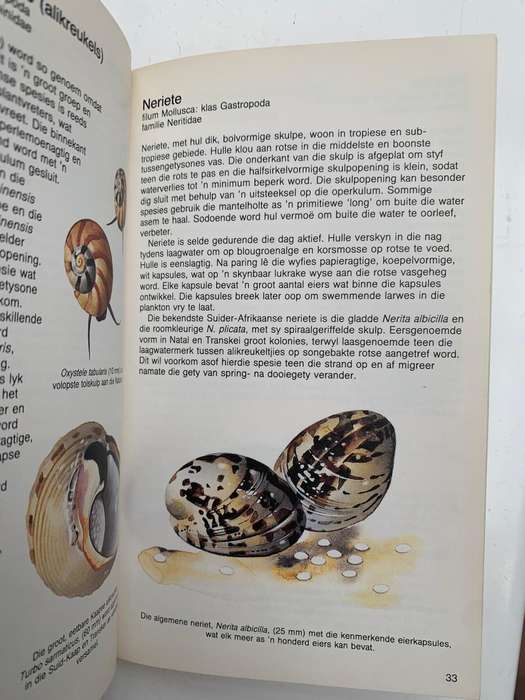 Die Kuswreld