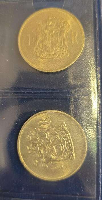 1969 R1 Afr Silver - Bid per Coin