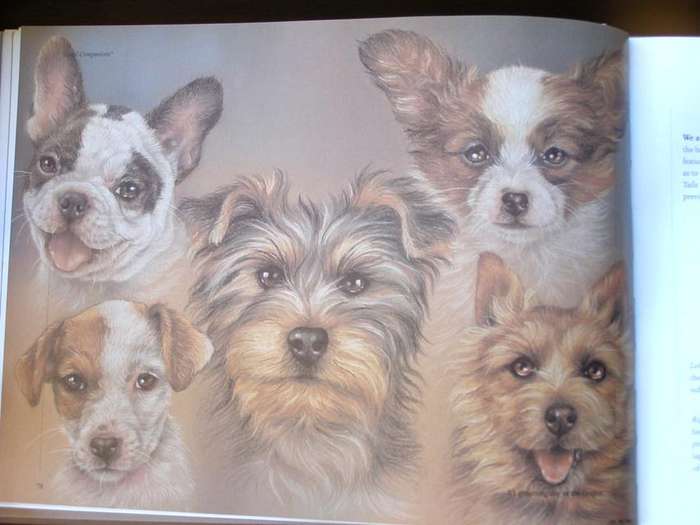BOOK - LOYAL COMPANIONS by LISA HALSTEAD (Artist) 2012
