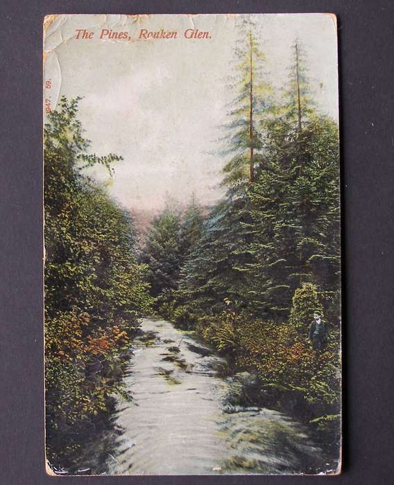 Caledonia Series Scottish POSTCARD - The Pines, Rouken Glen
