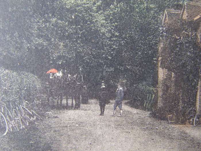 Lloyd Antique POSTCARD - The Cottage, Silent Pool, Albury