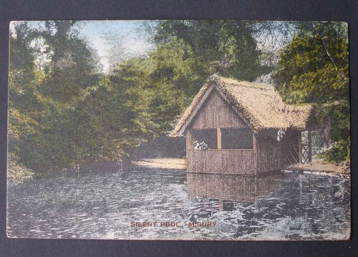 Lloyd Antique POSTCARD - Silent Pool, Albury