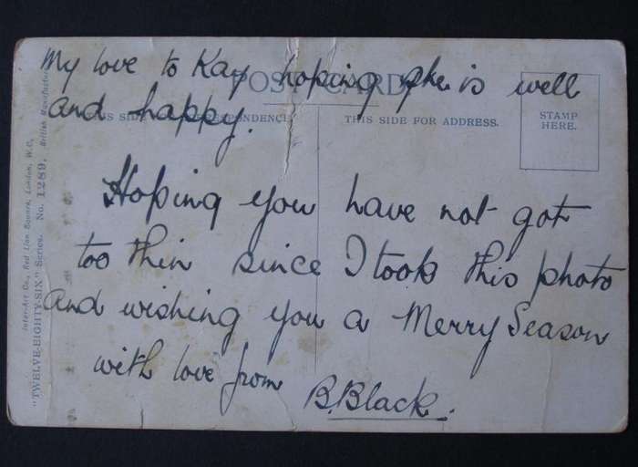 Inter-Art Co. POSTCARD - Have you a little fairy in your home?