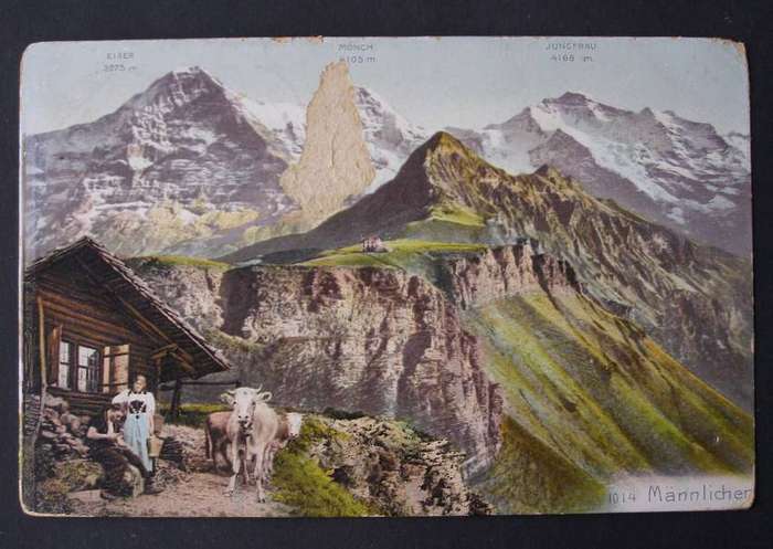 Vintage Swiss POSTCARD - Mannlicher 1909