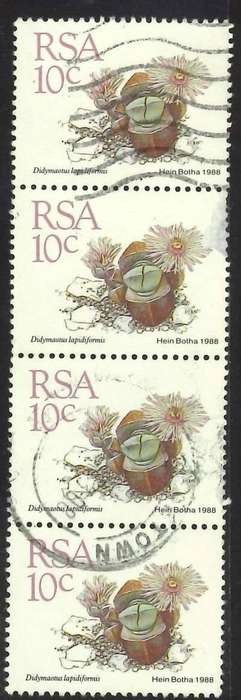 RSA - 1988 - 5th Definitive Issue - Succulents - 10c Vertical Strip of 4 - Postally Used