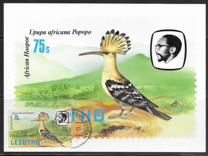 Lesotho - Birds - Maxi Card