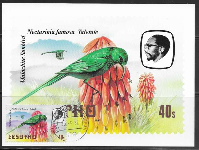 Lesotho - Birds - Maxi Card
