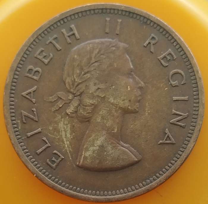 1955     PENNY  COIN        SA                       SUN16664~