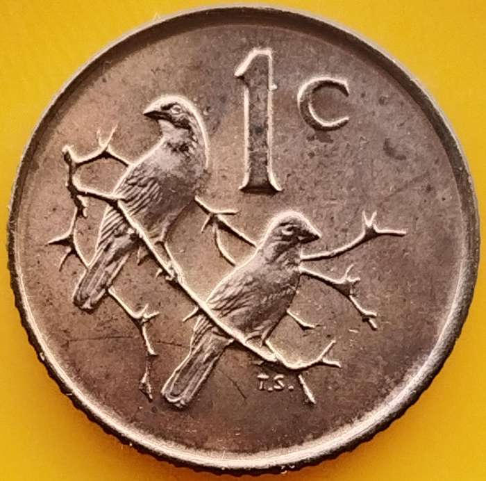 1966   1c   COIN   (Afrikaans)       SUN18108~