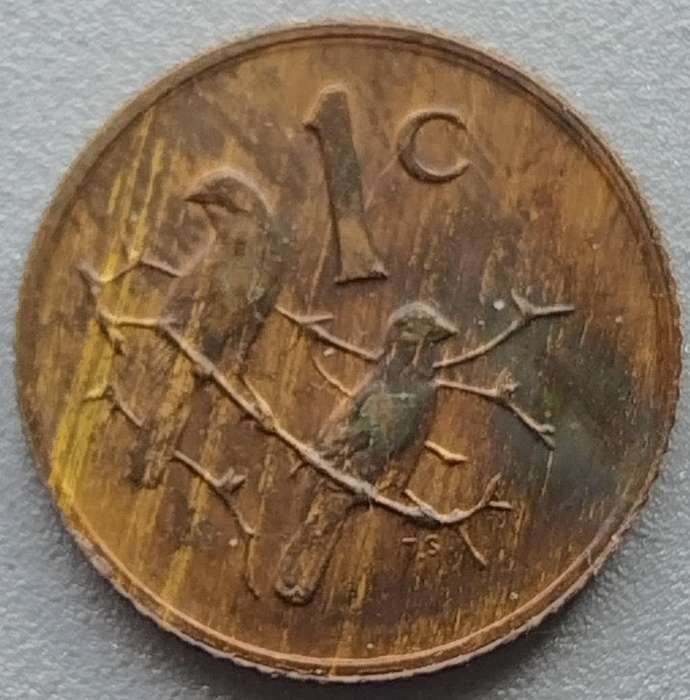 1979   1c   COIN  RSA                    SUN18125~
