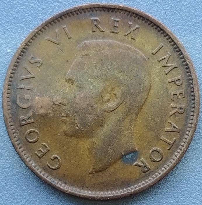 1942      HALF PENNY COIN    SOUTH AFRICA                 SUN11932~