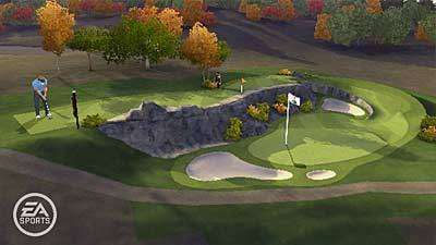 Tiger Woods PGA Tour 11 (Wii PAL)