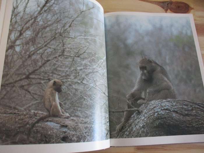 The Soul of the Ape & The Soul of the White Ant. By Eugene Marais