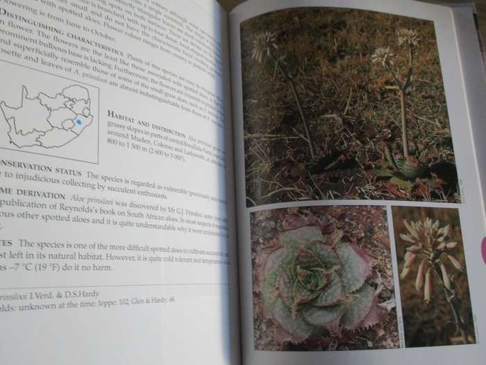 Guide to ALOES of South Africa