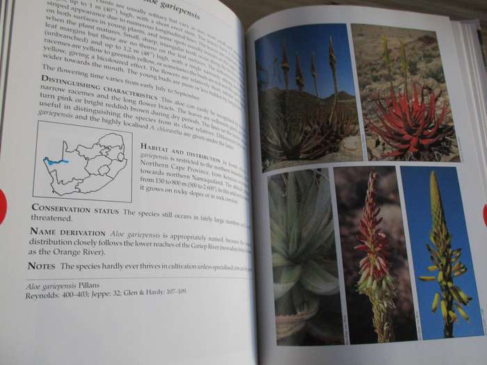 Guide to ALOES of South Africa