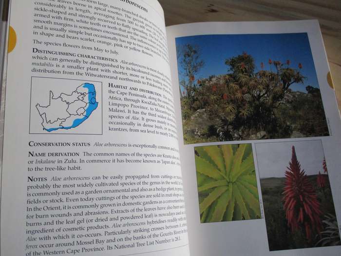 Guide to ALOES of South Africa