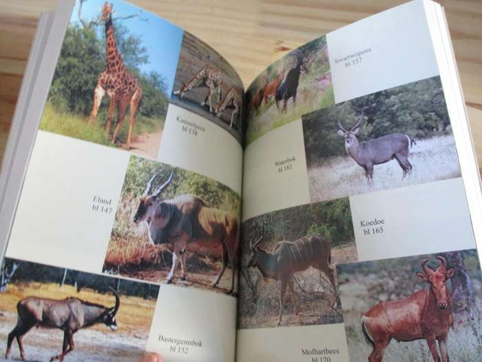 Vleis om die gestalte. HERKOUTJIES UIT DIE WILDTUIN. Lourens Aucamp