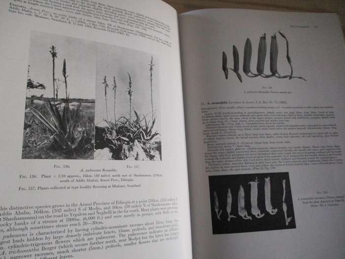 The Aloes of Tropical Africa and Madagascar - Reynolds