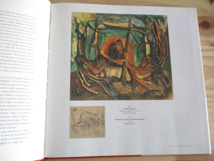 PAUL DU TOIT - A Painter's Journey