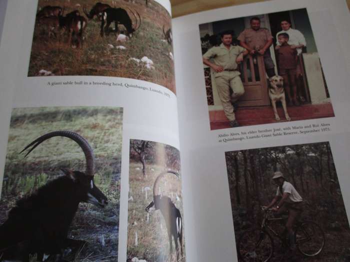 Wildlife at War in Angola - The Rise and Fall of an African Eden