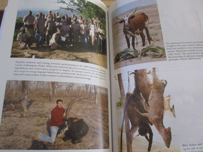 Wildlife at War in Angola - The Rise and Fall of an African Eden