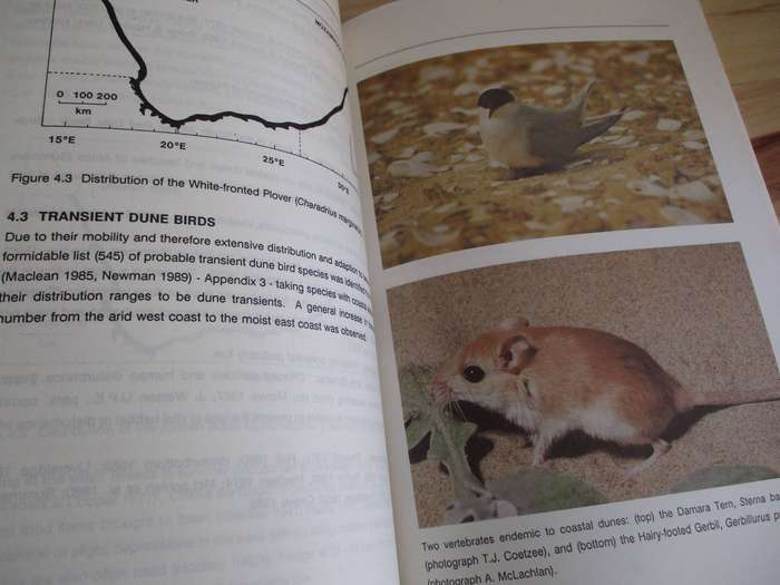 Conservation status of the vertebrate fauna of coastal dunes in South Africa