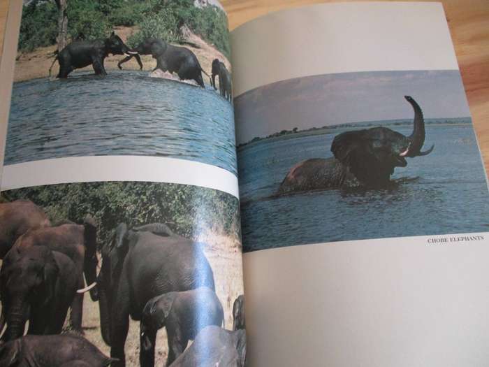 The Last Wilderness - A Journey Accross the Great Kalahari Desert. By Nicholas Luard