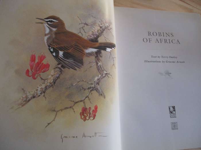 ROBINS OF AFRICA