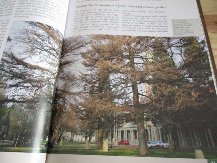 Remarkable Trees of South Africa - Neels Esterhuyse e.a.