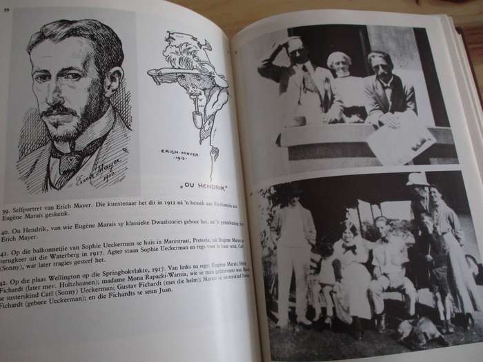 Die Groot Verlange  Die verhaal van Eugene Marais deur Leon Rousseau