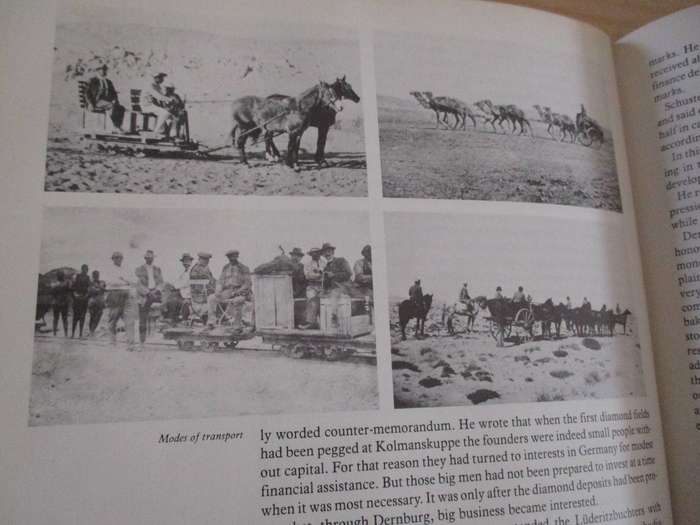 OLGA LEVINSON  Diamonds in the Desert The story of August Stauch and his times.
