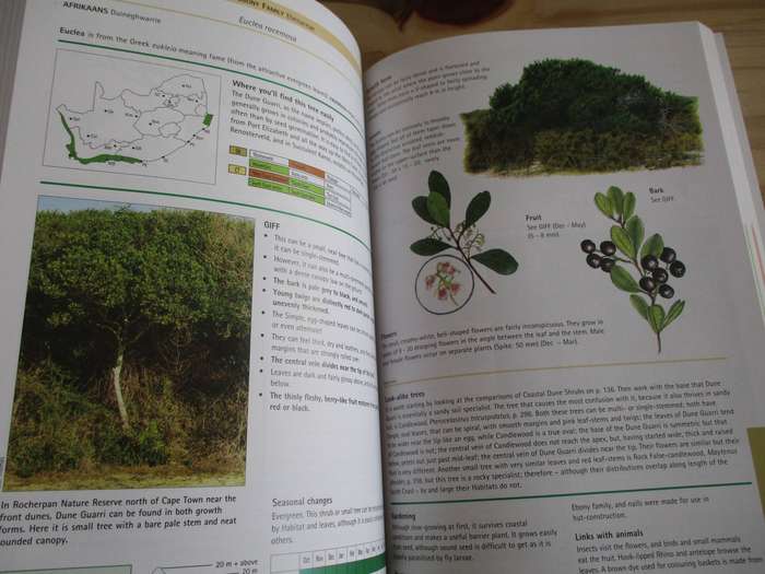 Sappi Tree Spotting Cape from Coast to Kalahari  Val Thomas Eugene Moll Rina Grant