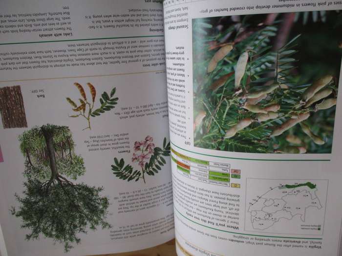 Sappi Tree Spotting Cape from Coast to Kalahari  Val Thomas Eugene Moll Rina Grant