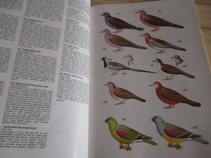 Birds of East Africa  C.A.W. Guggisberg  Illustrated by Malcolm Ellis