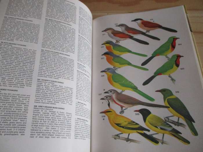 Birds of East Africa  C.A.W. Guggisberg  Illustrated by Malcolm Ellis