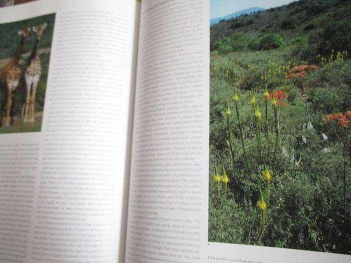 East of the Cape Conserving Eden  Richard Cowling & Shirley Pierce