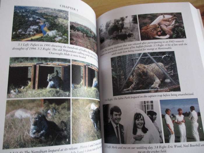 Living The Wild Life. Thoughts & stories from a researcher's life in Kruger National Park. Ian Whyte