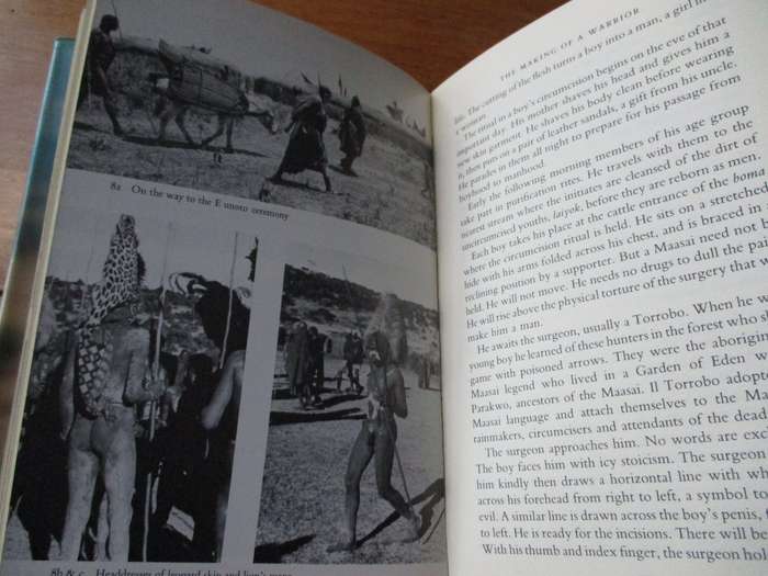 Herd & Spear The Maasai of East Africa  Solomon ole Saibull and Rachel Carr