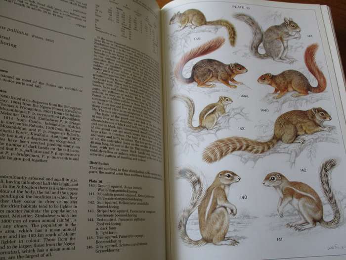 The Mammals of the Southern African Subregion. JD Skinner and RHN Smithers